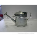 metal orginal stainless steel color Watering Can with jug mouth +movable handle on top and fixed handle on side
